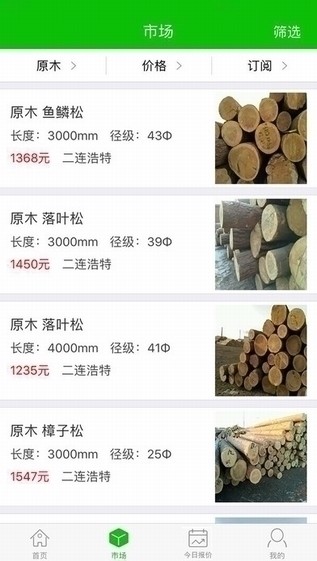 木材码头2