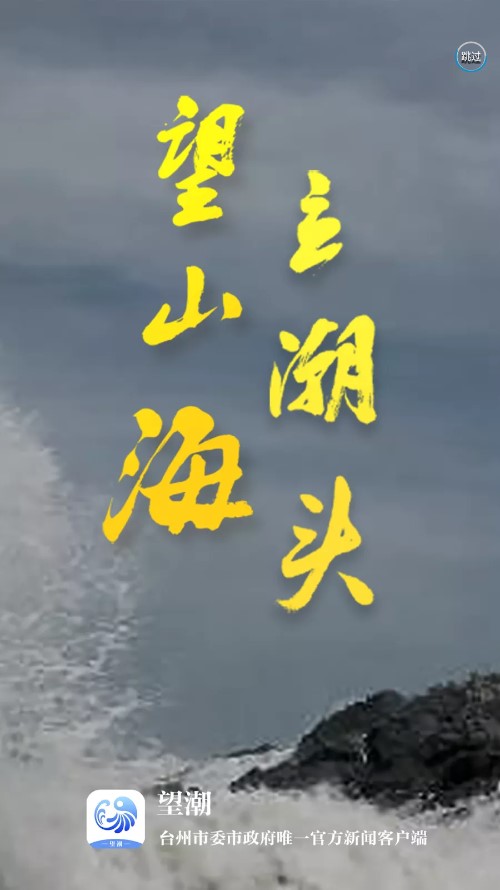望潮app安卓版