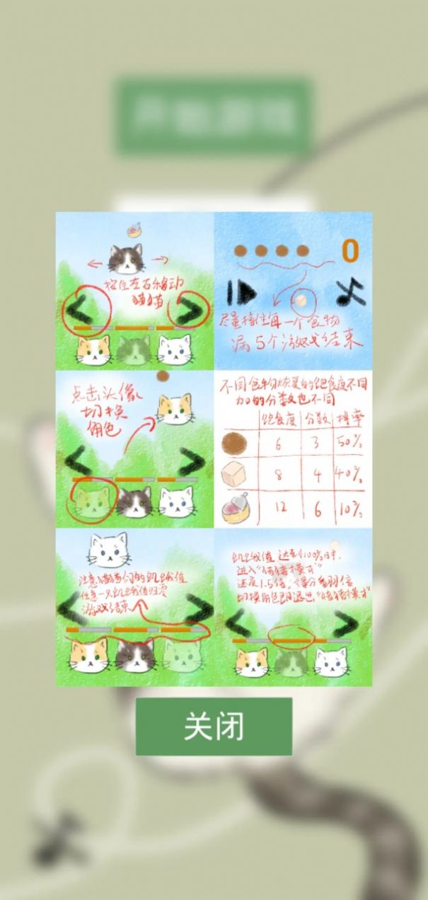猫猫吃成猪猪3