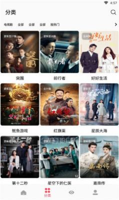枫叶追剧纯净版3