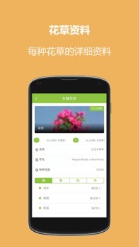 东篱花草2