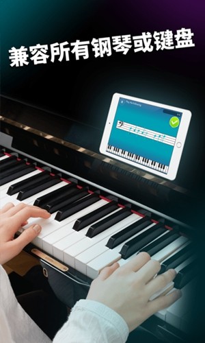 simplypiano官方2