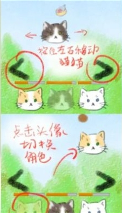 猫猫吃成猪猪安卓版0