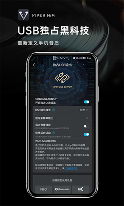 VIPER HiFi软件2