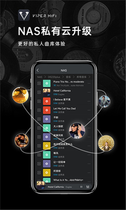 VIPER HiFi软件3