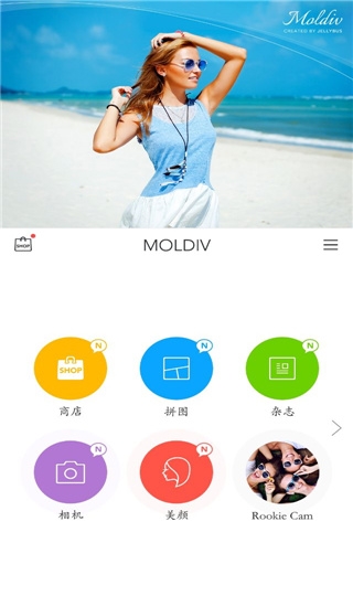 moldiv0