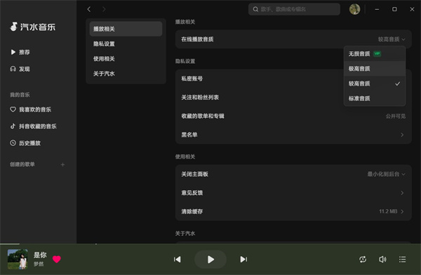 汽水音乐电脑版2