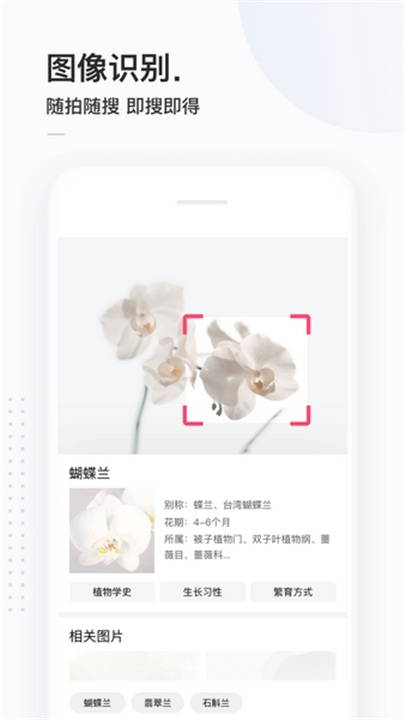 简单搜索app下载安装4