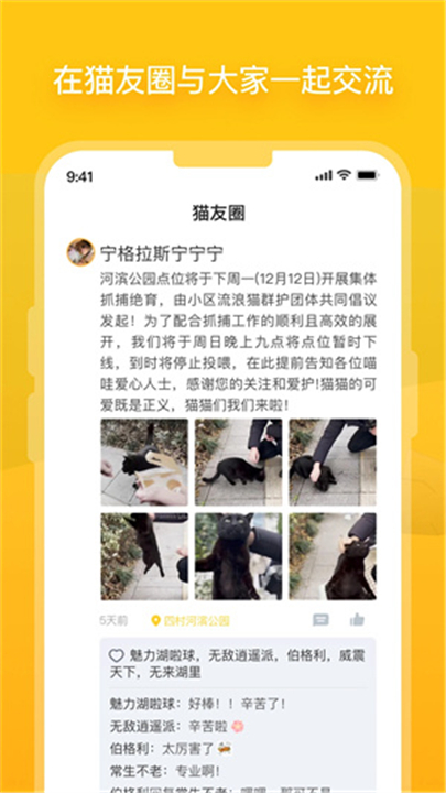 哈啰街猫app下载3