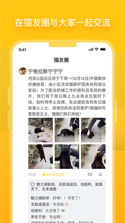 哈啰街猫app下载1