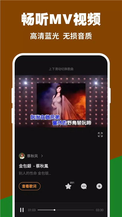 台语歌曲软件4