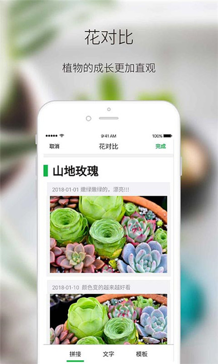 绿手指app0