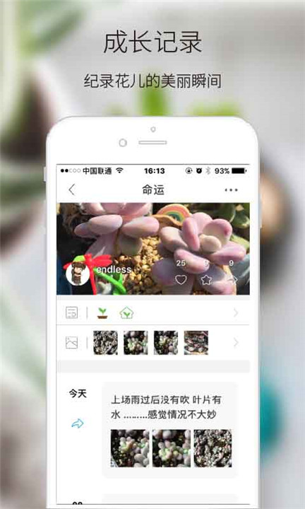 绿手指app3