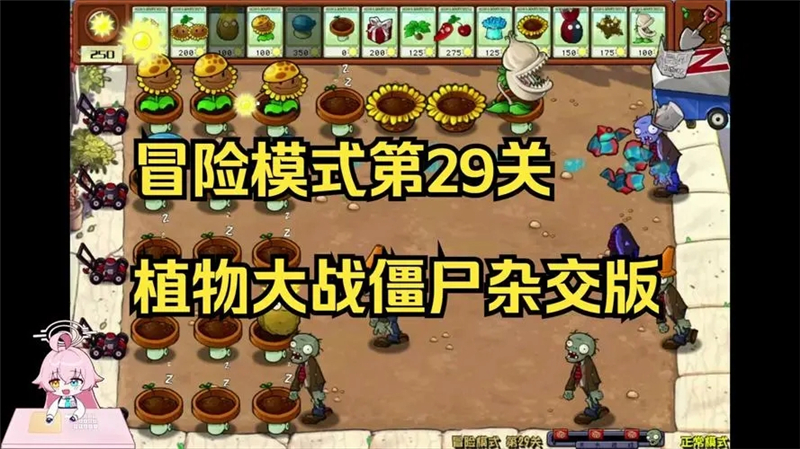 植物大战僵尸杂交版29关怎么过