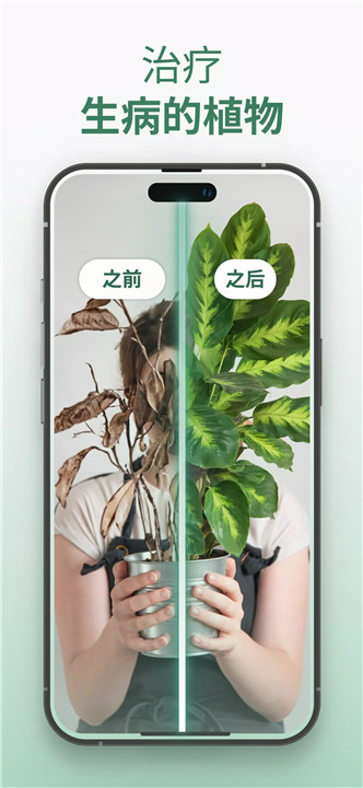 植物识别拍照识花草树木4