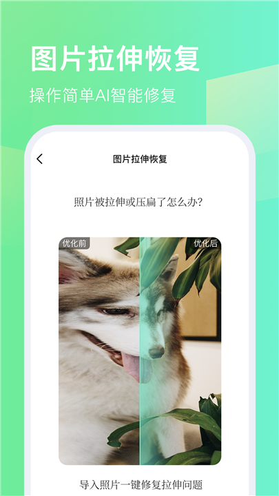 今天拍水印相机app1