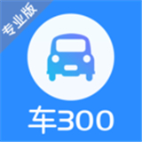 车300二手车估价