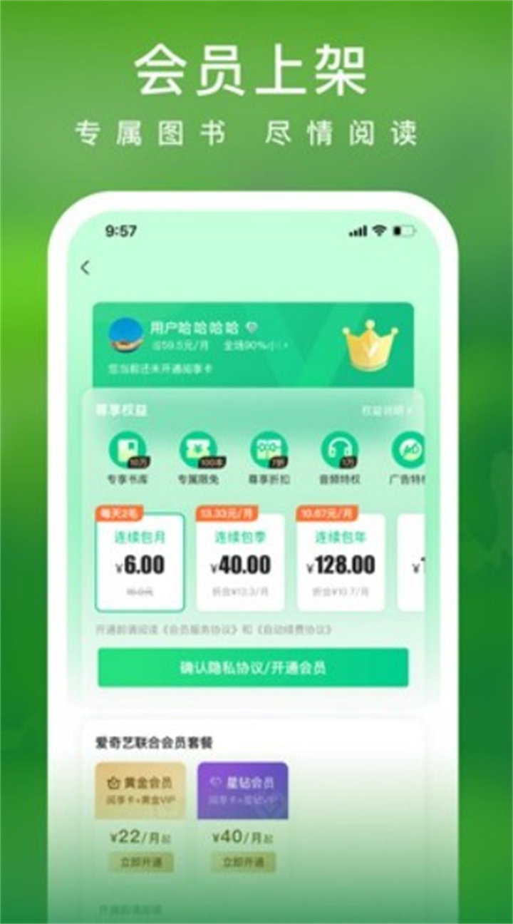 爱奇艺小说app4