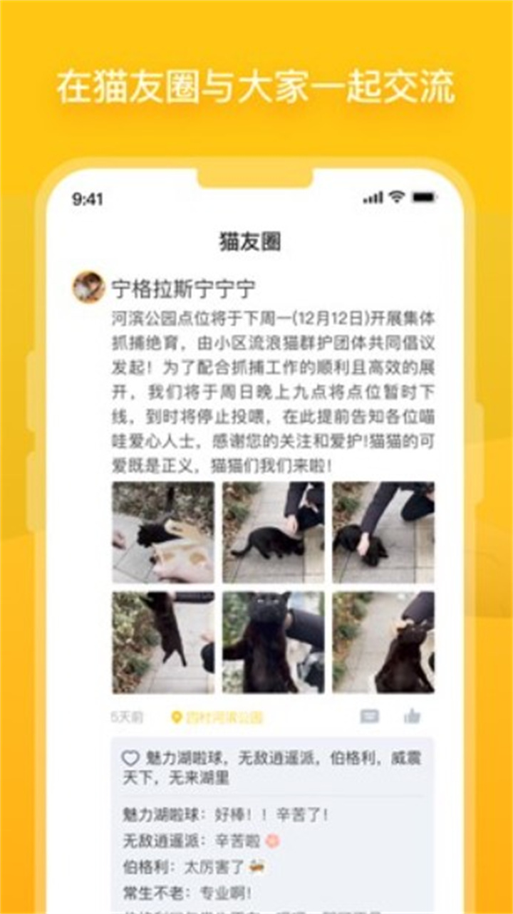 哈啰街猫app下载安装1