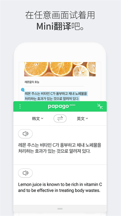 Papago中韩翻译器截图4
