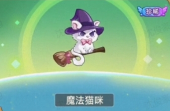 冒险大作战魔法猫咪新飞宠搭配推荐