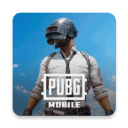 PUBG2024最新版