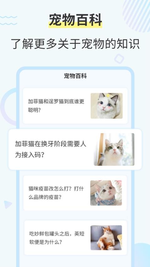 猫咪交流翻译器