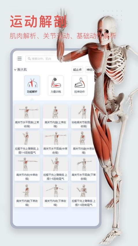 3Dbody解剖