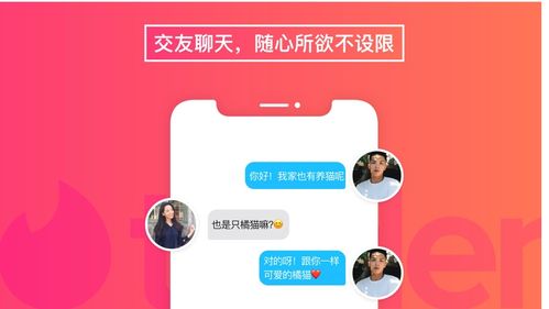 目前最火的交友