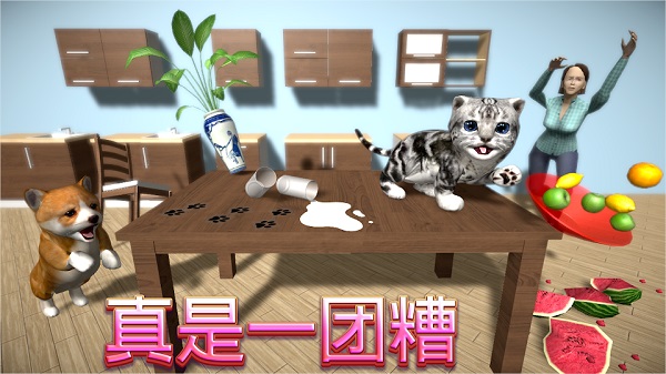 猫咪模拟器中文版