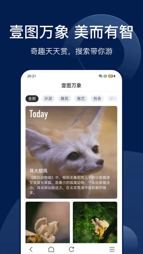 搜索app