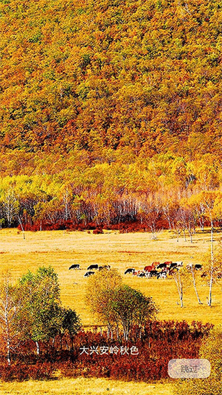 国家风景