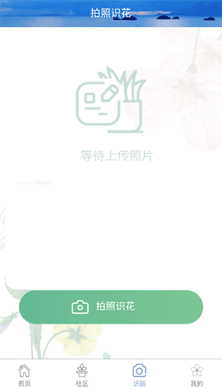 东篱花草