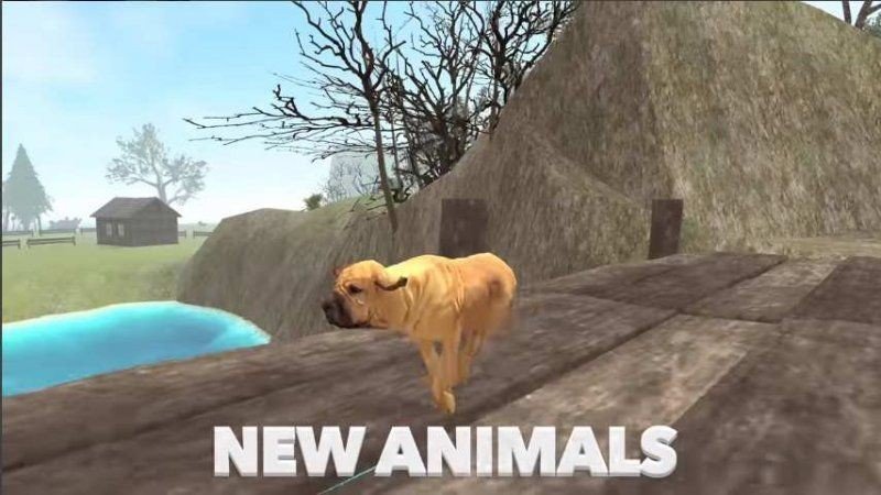 DogSim