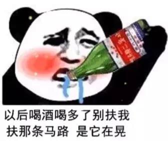 以后喝酒喝多了别扶我表情包