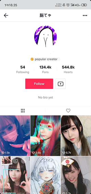 TikTok Plugin