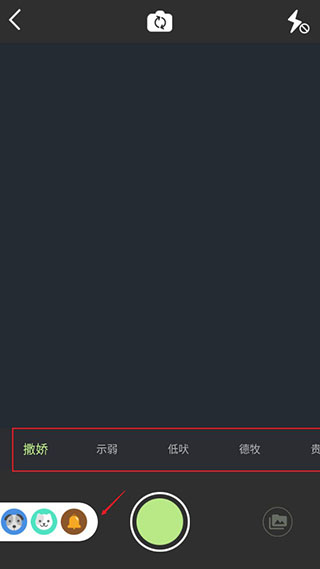 萌宠相机app