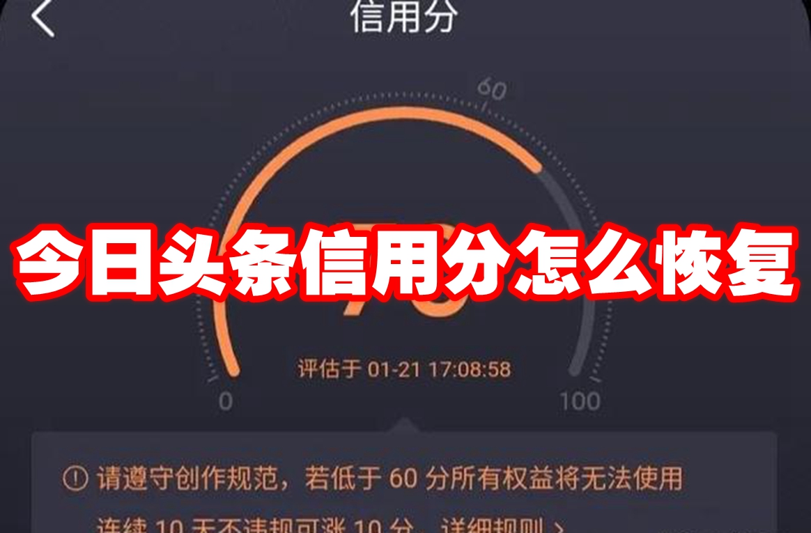 今日头条信用分怎么恢复