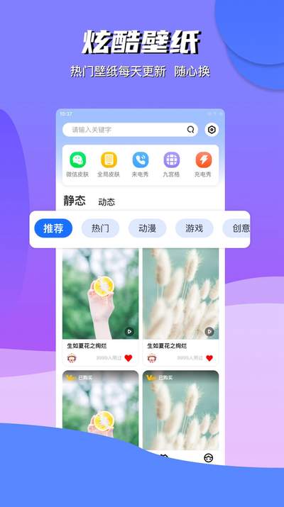 动动壁纸(动物壁纸)
