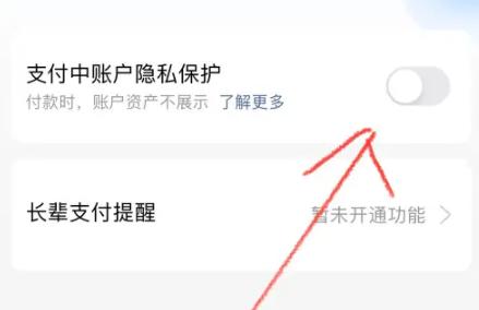 支付宝怎么隐藏账户资产数目