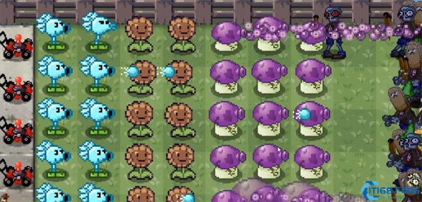 植物大战僵尸寒冰版
