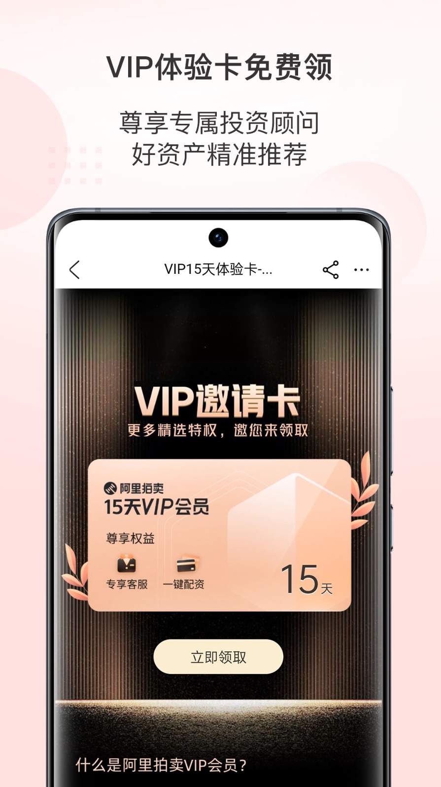 阿里拍卖