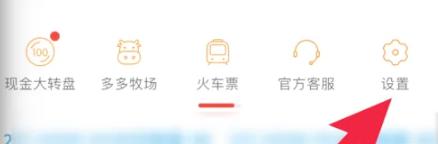 拼多多先用后付的额度在哪里查看