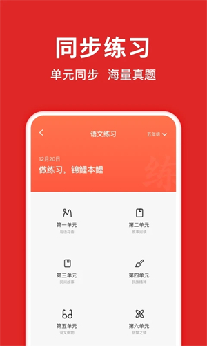 题拍拍app