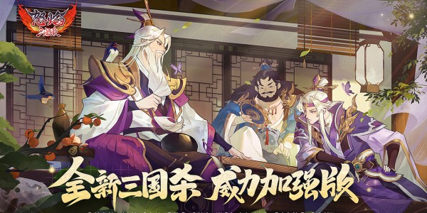 全新三国杀，威力加强版