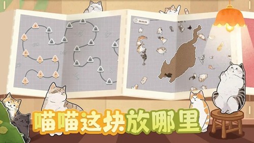 挤在一起的猫猫免广告最新版1