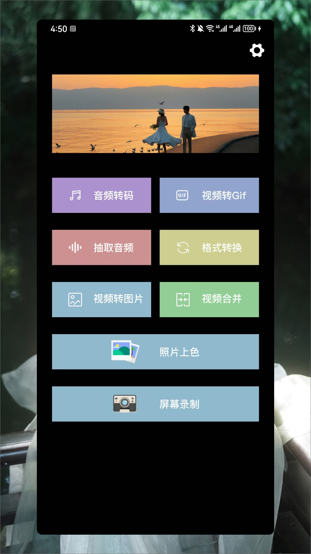 青青草app1