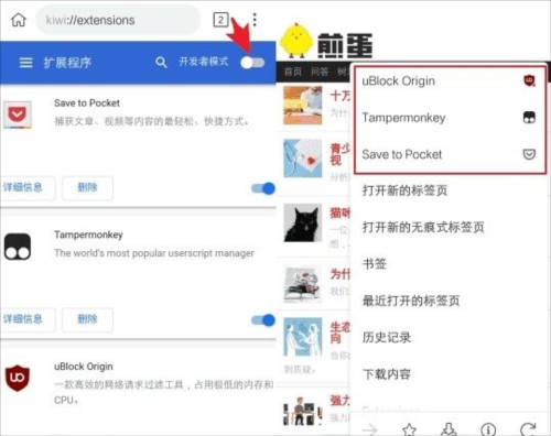 Kiwi Browser安卓版图片7