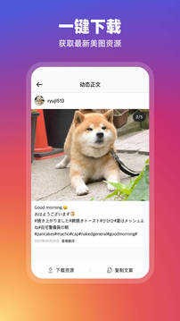 instagram安卓中文版