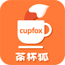 cupfox茶杯狐正版